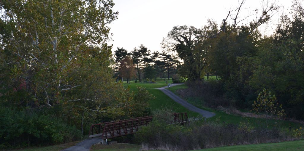 Fairway on golf course