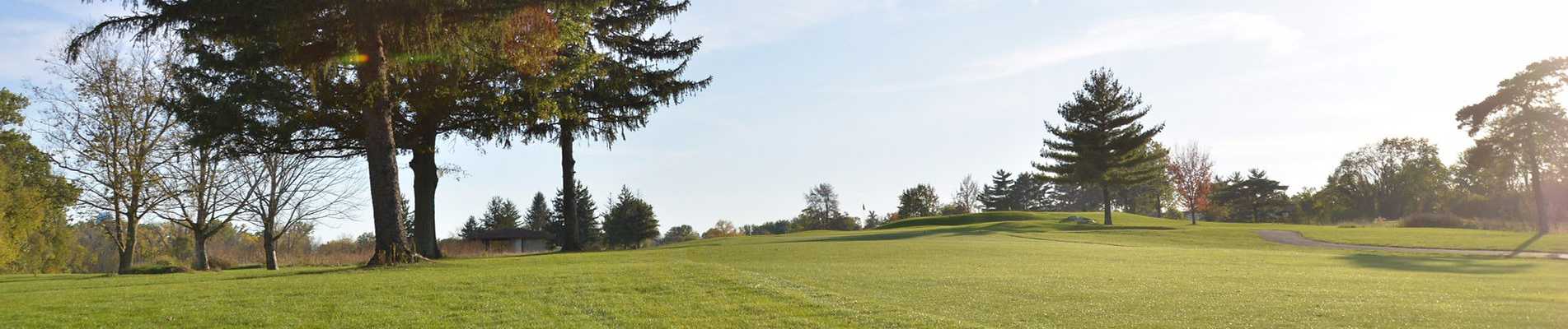 Golf Course with big tree