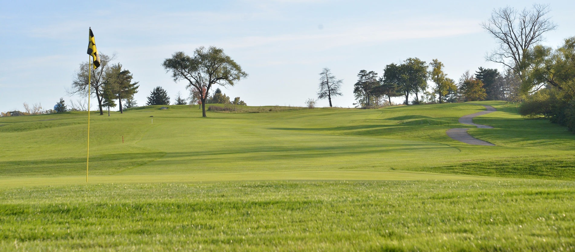 Image of golf ball on tee on grass.