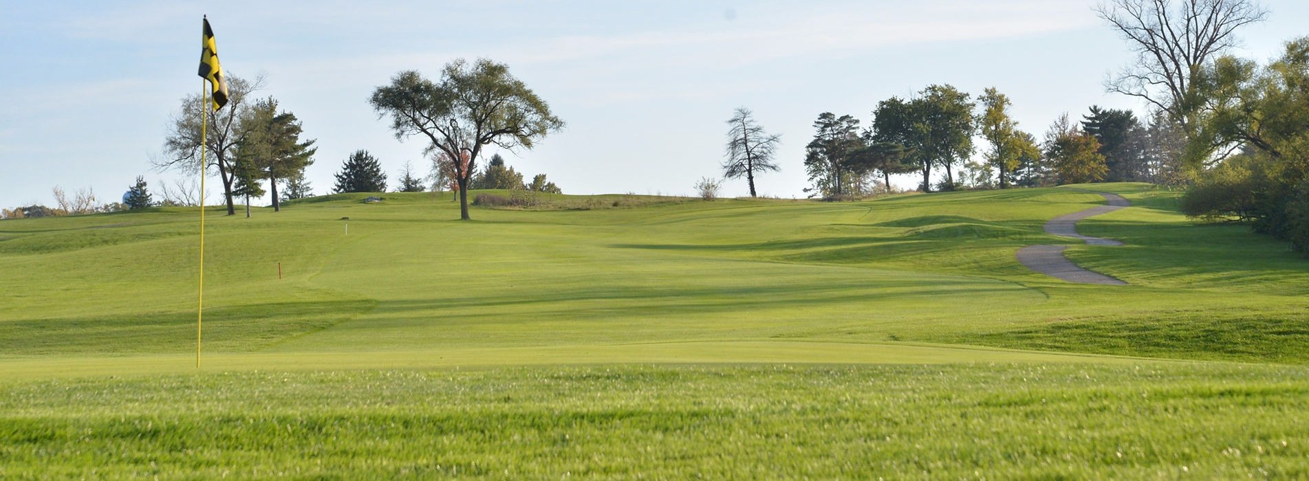 golf course green