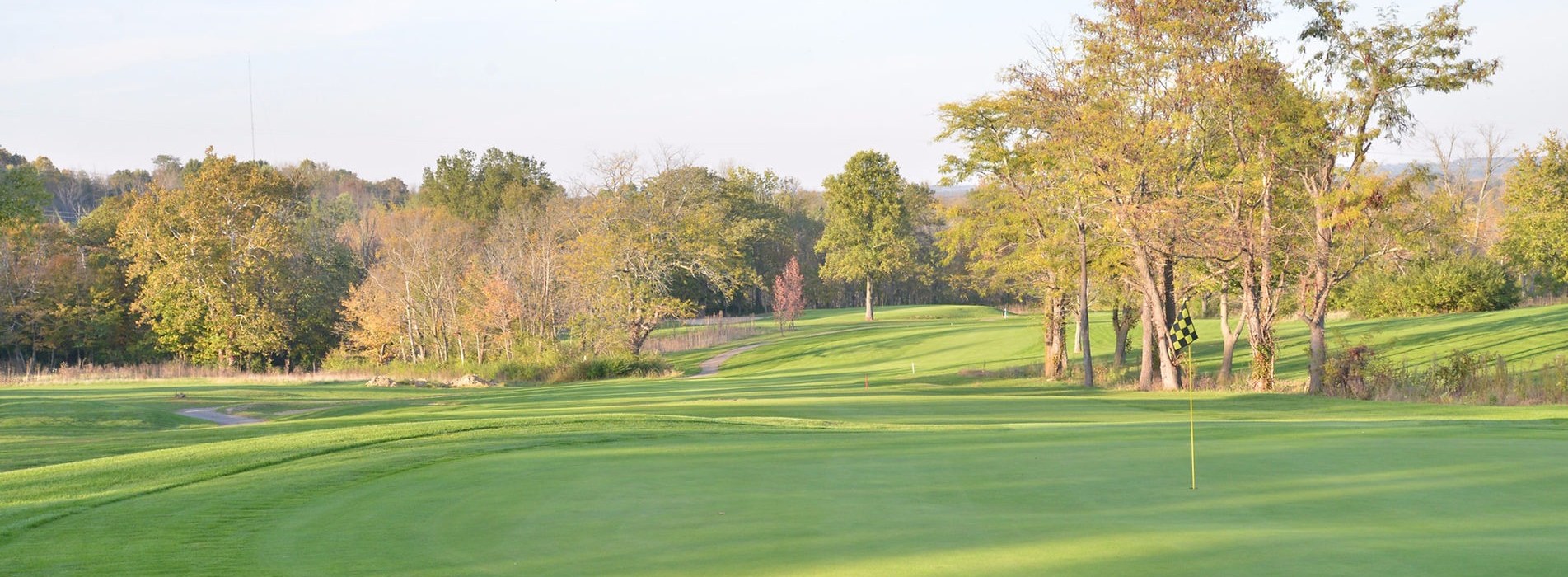 Golf course green brightly lit